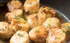 lemon-dill-pan-seared-scallops-chef-shamy image