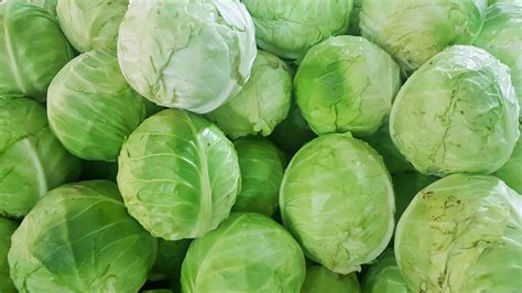 cabbage-recipes-rachael-ray-show image