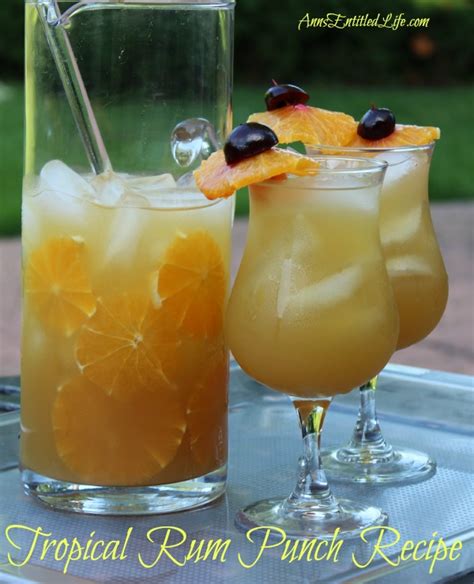 tropical-rum-punch-recipe-anns-entitled-life image