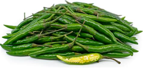 green-thai-chile-peppers-information-recipes-and-facts image