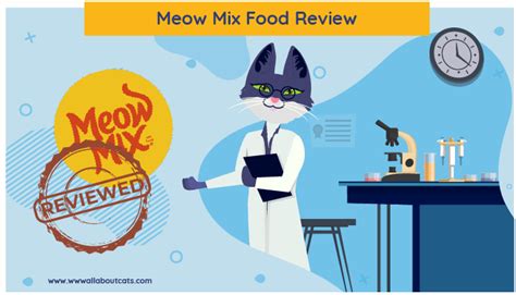 unbiased-meow-mix-cat-food-review-2022-all-about-cats image