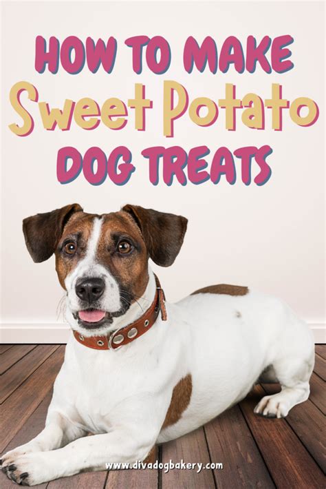 how-to-make-sweet-potato-dog-treats image