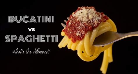 bucatini-vs-spaghetti-whats-the-difference-food-faq image