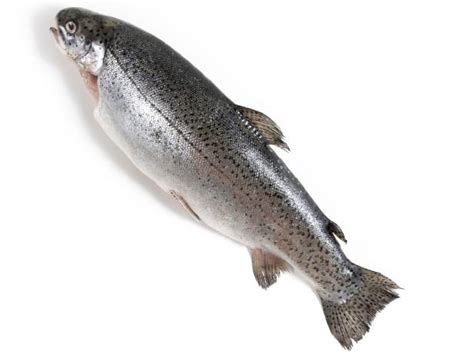 a-guide-to-buying-and-cooking-trout-food-network image