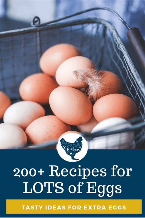 200-recipes-that-use-a-lot-of-eggs-backyard-chicken image