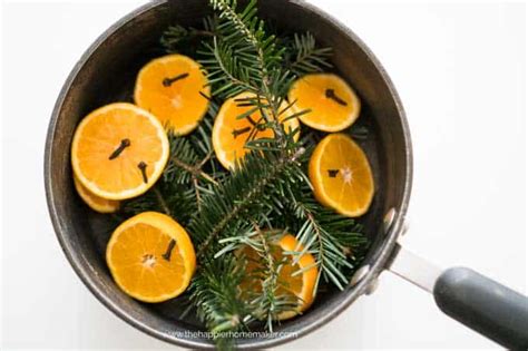 winter-simmering-pot-recipe-the-happier-homemaker image