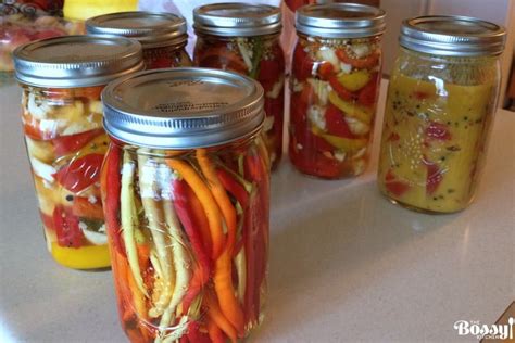 how-to-preserve-hot-peppers-in-vinegar-the-bossy image