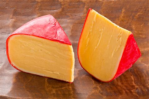 gouda-recipe-cheese-maker-recipes-cheese-making image