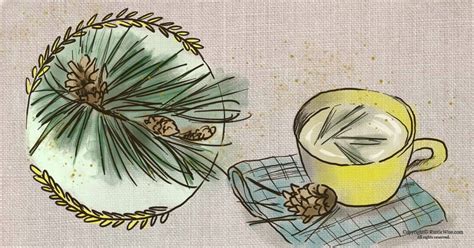 foraging-pine-needles-pine-needle-tea image