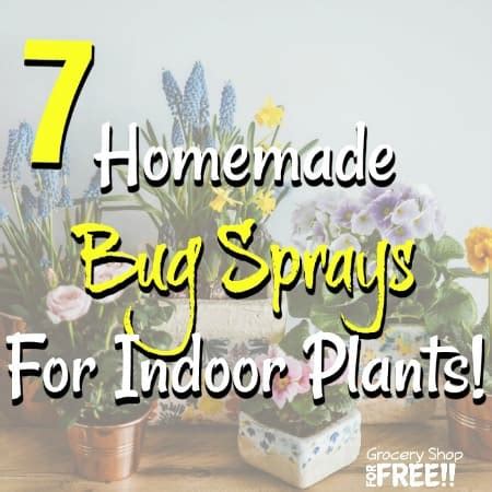 7-homemade-bug-sprays-for-indoor-plants-dian-farmer image
