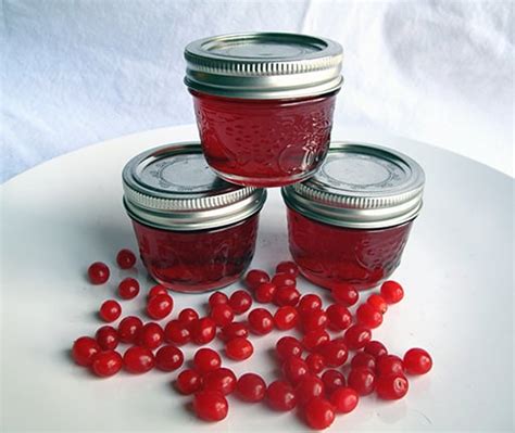 highbush-cranberry-jelly-the-kitchen-magpie image