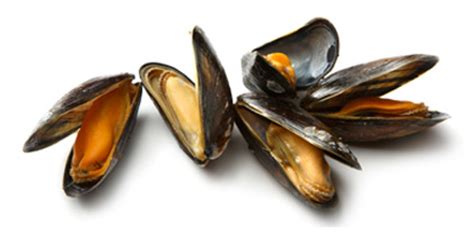 how-to-cook-mussels-mussel-cooking-tips image