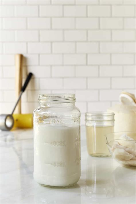 homemade-coconut-milk-recipe-the-blender-girl image