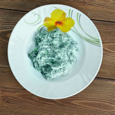 spinach-and-garlic-yogurt-recipe-times-food image