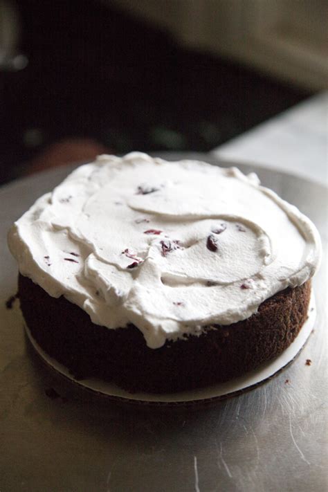 chocolate-cherry-cake-with-marsala-cream-zobakes image