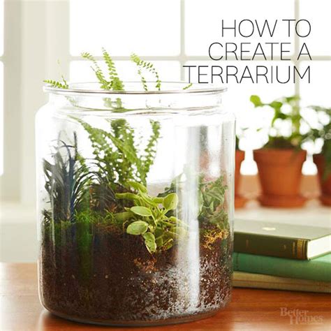 how-to-make-a-tiny-terrarium-for-a-cute-tabletop image