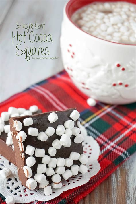 3-ingredient-hot-cocoa-squares-place-of-my-taste image