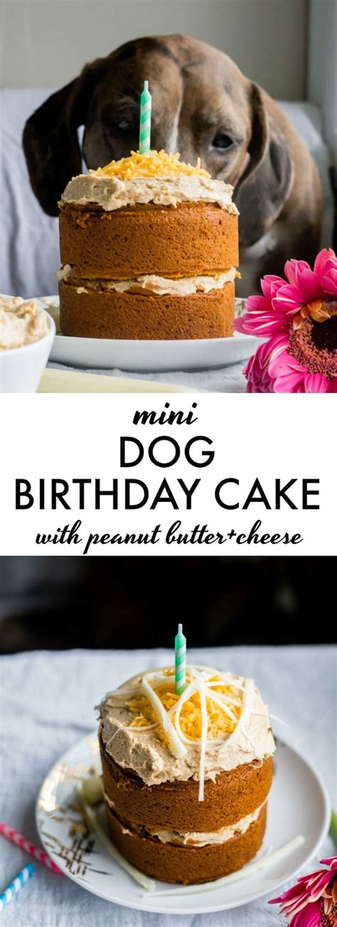 mini-dog-birthday-cake-the-almond-eater image