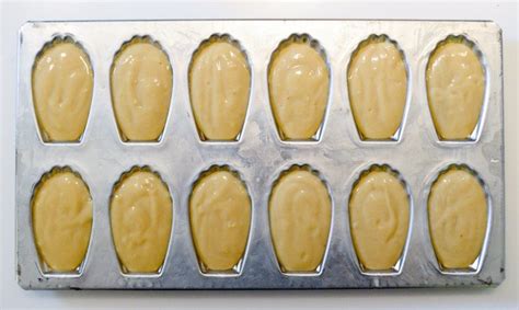 perfect-madeleines-recipe-chocolate-zucchini image