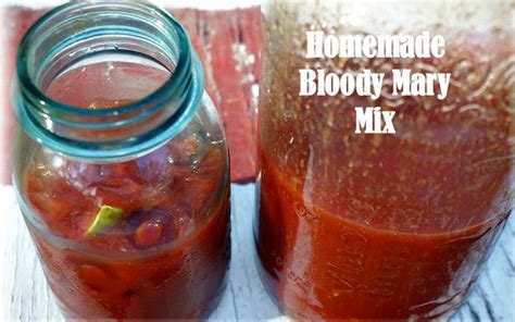 make-your-own-homemade-bloody-mary-mix image