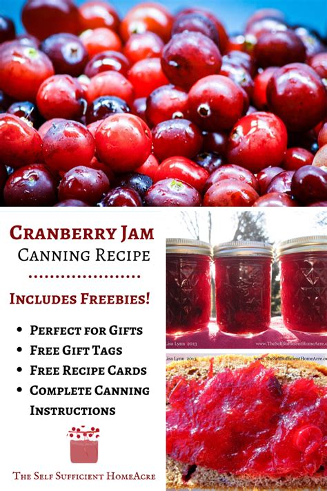 how-to-make-cranberry-jam-with-free-printable image