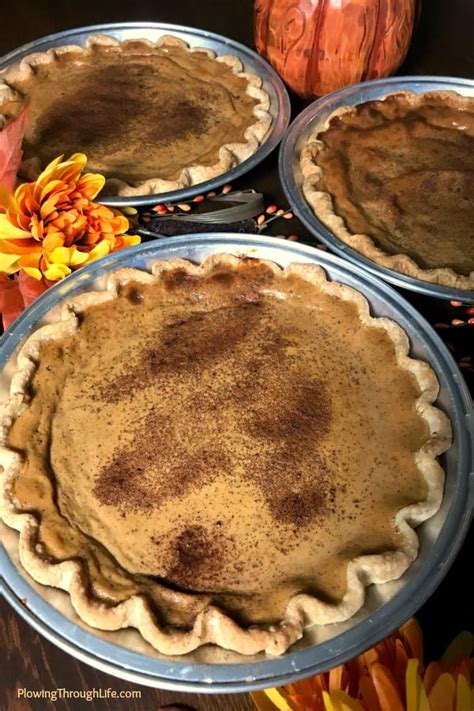 big-batch-pumpkin-pies-for-a-crowd-plowing-through-life image