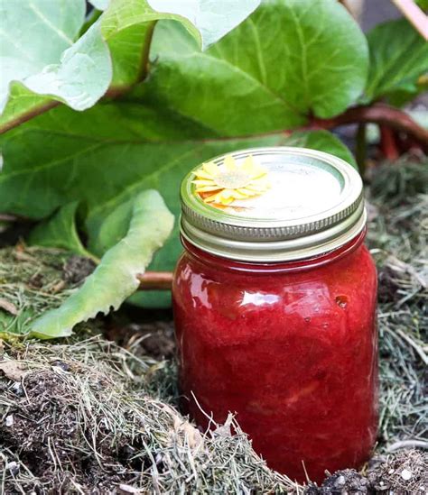 simple-rhubarb-jam-homemade-rhubarb-jam image