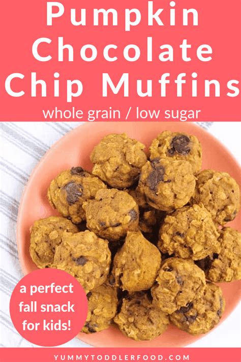 mini-pumpkin-chocolate-chip-muffins-low-sugar-so image