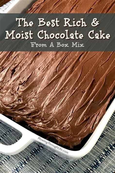 the-best-rich-and-moist-chocolate-cake-plowing image