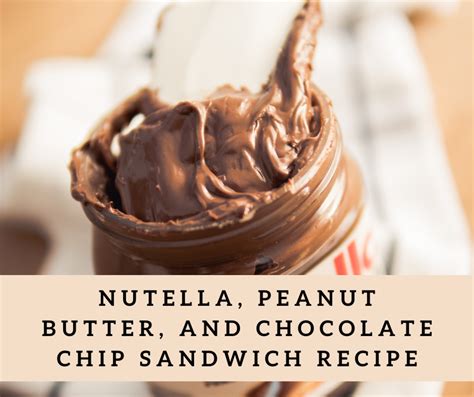 nutella-peanut-butter-and-chocolate-chip-sandwich image