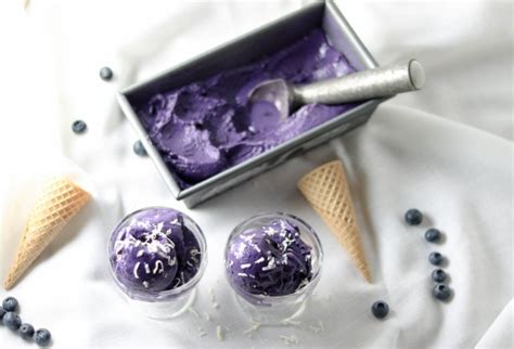 blueberry-coconut-ice-cream-dairy-free-kiss-in-the image