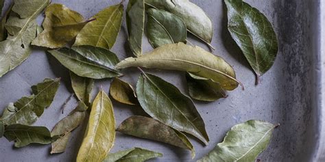 curry-leaf-recipes-great-british-chefs image