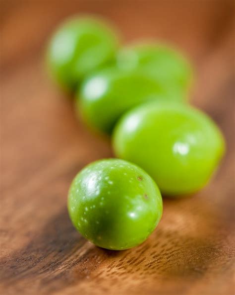 how-to-cure-green-olives-hunter-angler-gardener image