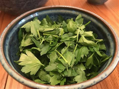 fresh-herb-salad-oldways-oldways-a-food-and image