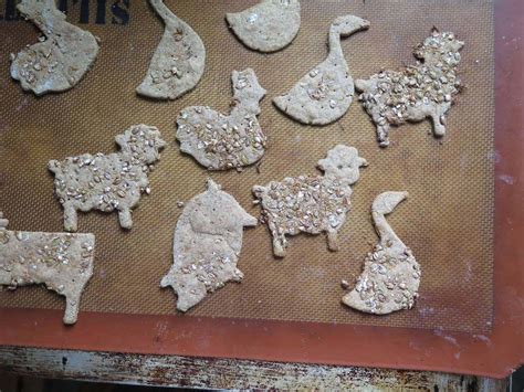 sourdough-or-unleavened-rye-crackers-maine-grains image
