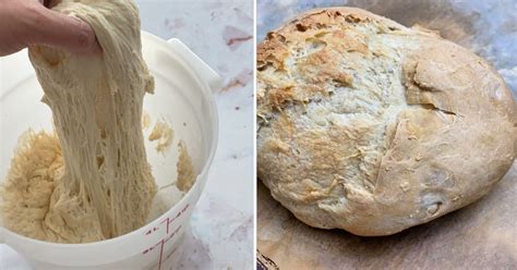 recipe-artisan-bread-in-5-minutes-pizza-rae-gun image