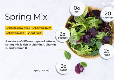 spring-mix-nutrition-facts-and-health-benefits image