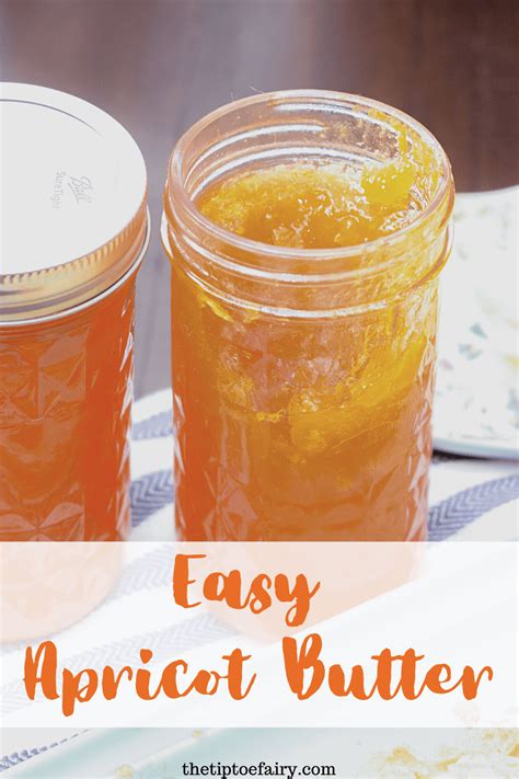 easy-apricot-butter image