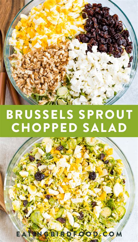 brussels-sprout-chopped-salad-eating-bird-food image