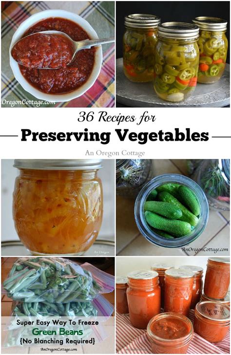 36-recipes-for-preserving-vegetables-an-oregon image