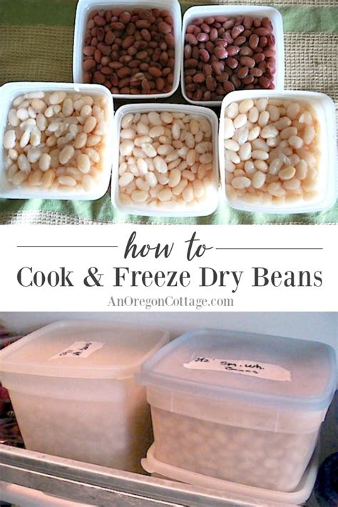 how-to-cook-freeze-dried-beans-an-oregon-cottage image