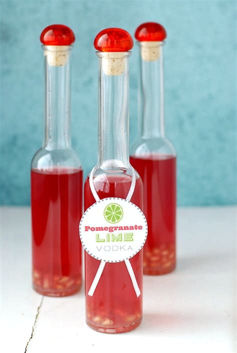 pomegranate-lime-vodka-a-homemade-infusion image