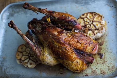 roast-pheasant-with-orange-and-onion-marmalade-and-juices image