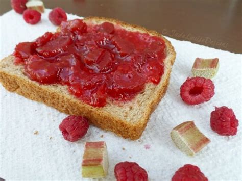 raspberry-rhubarb-jam-recipe-busy-creating-memories image