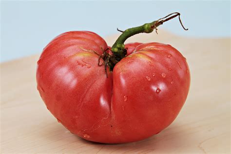 classic-heirloom-tomato-sauce-recipe-food-style image