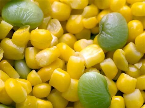 crock-pot-lima-beans-and-corn-recipe-cdkitchencom image