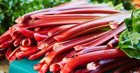 what-to-make-with-rhubarb-when-you-have-too-much image