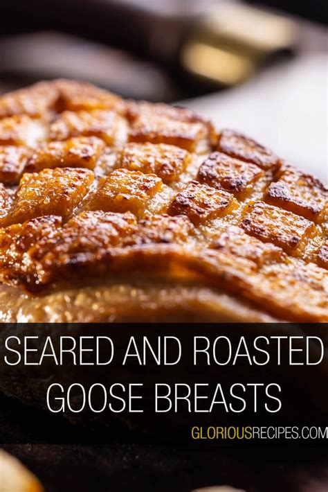 20-best-goose-breast-recipes-to-try-glorious image