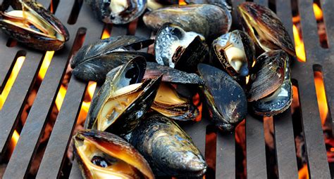 grilled-mussels-recipes-kalamazoo-outdoor-gourmet image