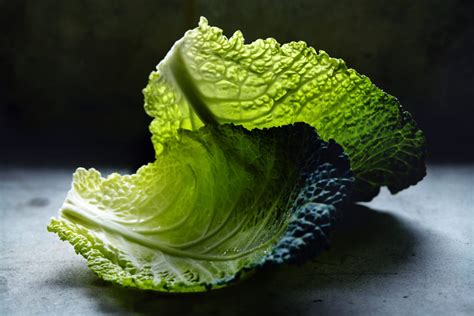 cabbage-recipe-nutrition-precision-nutritions image